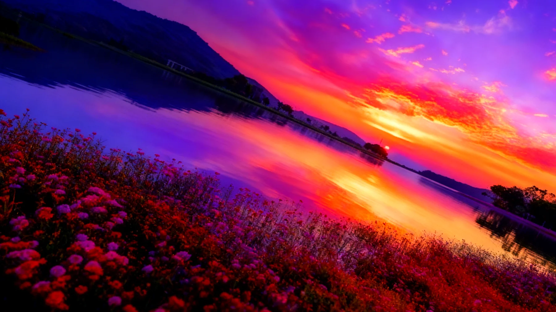 Beautiful 2026-04-09T13:03:01.496Z"